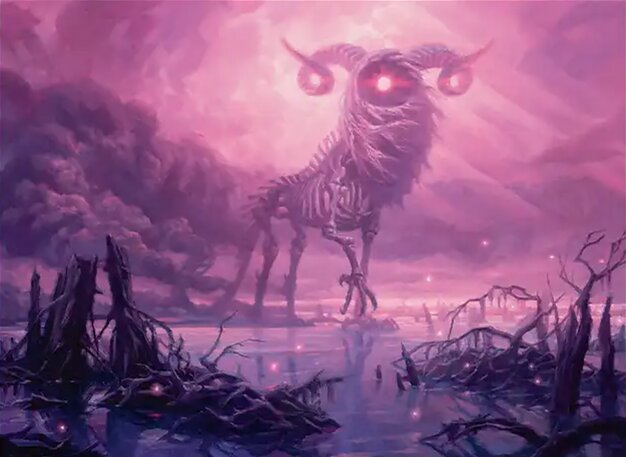 Featured image for article: Standard Cards at their lowest price