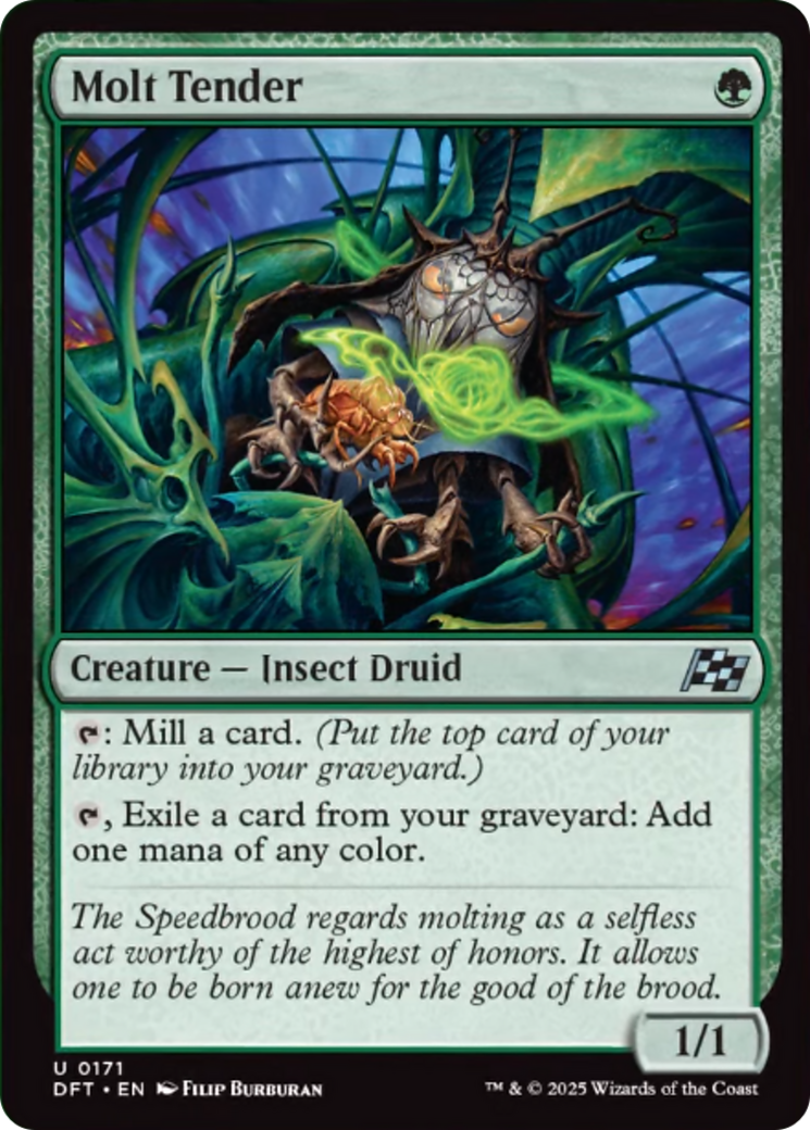 Molt Tender - Uncommon Creature — Insect Druid card from Aetherdrift