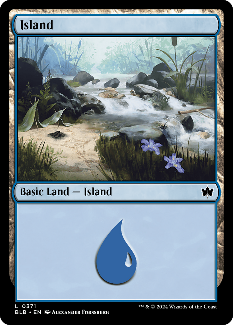 Island - Common Basic Land — Island card from Bloomburrow