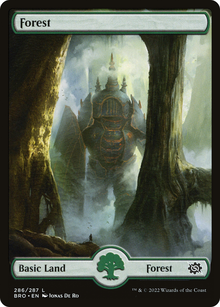 Forest - Common Basic Land — Forest card from The Brothers' War