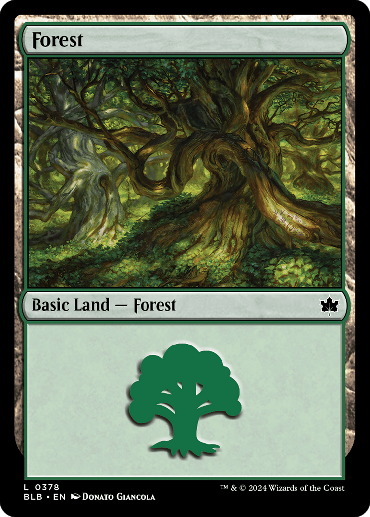 Forest - Common Basic Land — Forest card from Bloomburrow