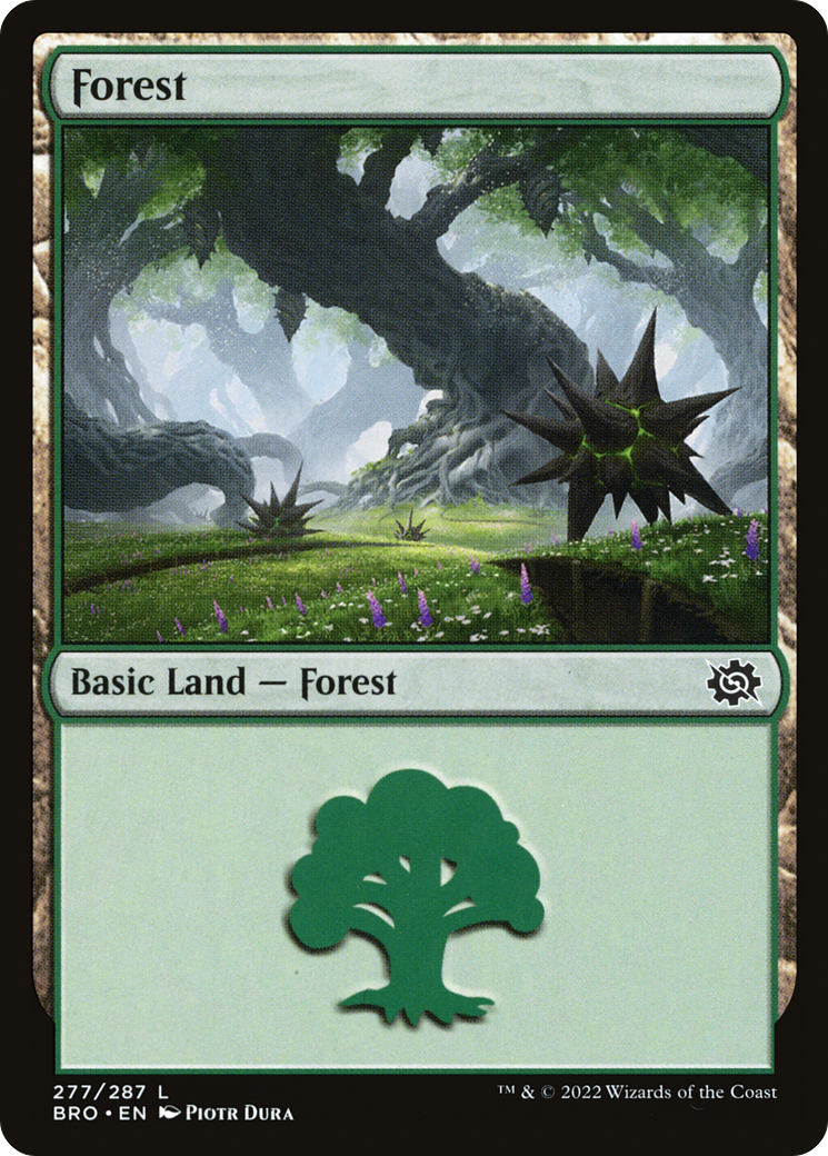 Forest - Common Basic Land — Forest card from The Brothers' War