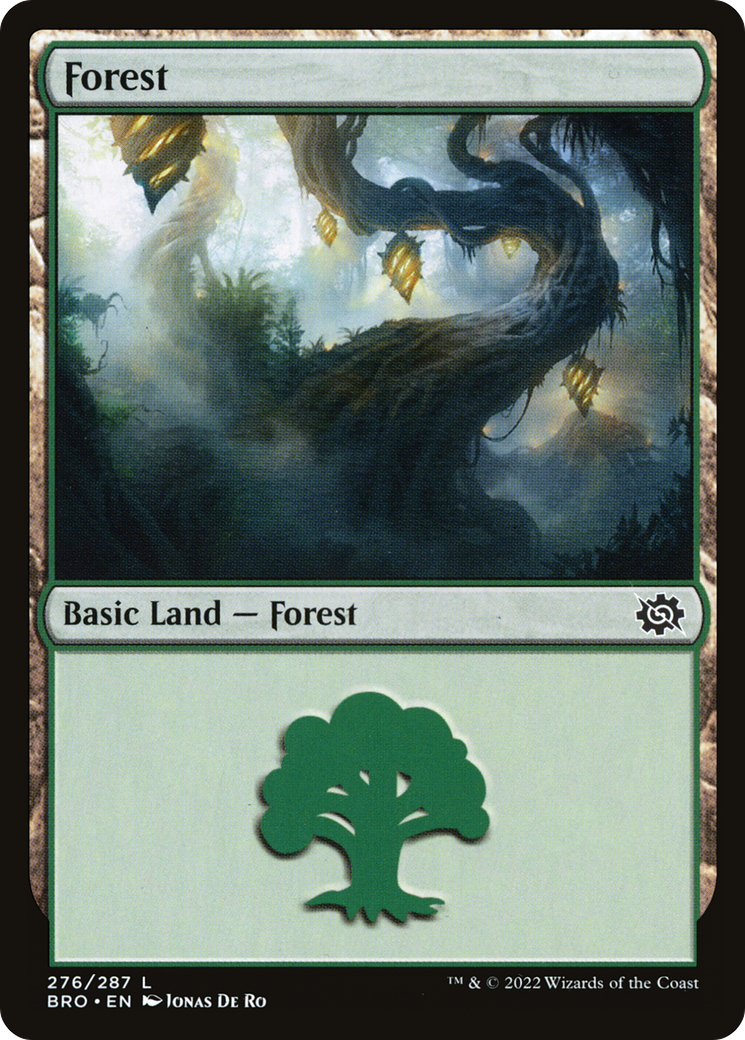 Forest - Common Basic Land — Forest card from The Brothers' War