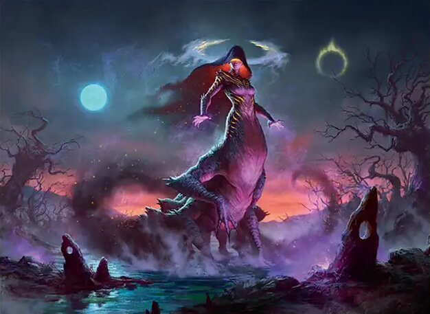 Featured image for article: Standard Cards at their lowest price