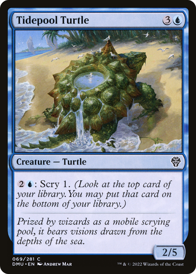 Tidepool Turtle - Common Creature — Turtle card from Dominaria United