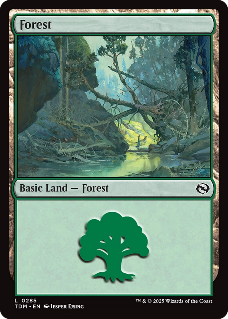 Forest - Common Basic Land — Forest card from Tarkir: Dragonstorm