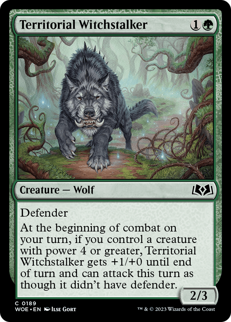 Territorial Witchstalker - Common Creature — Wolf card from Wilds of Eldraine