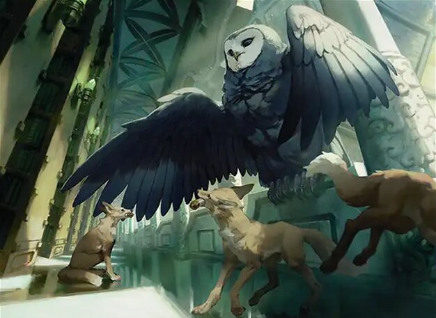 Jeskai deck representative card image