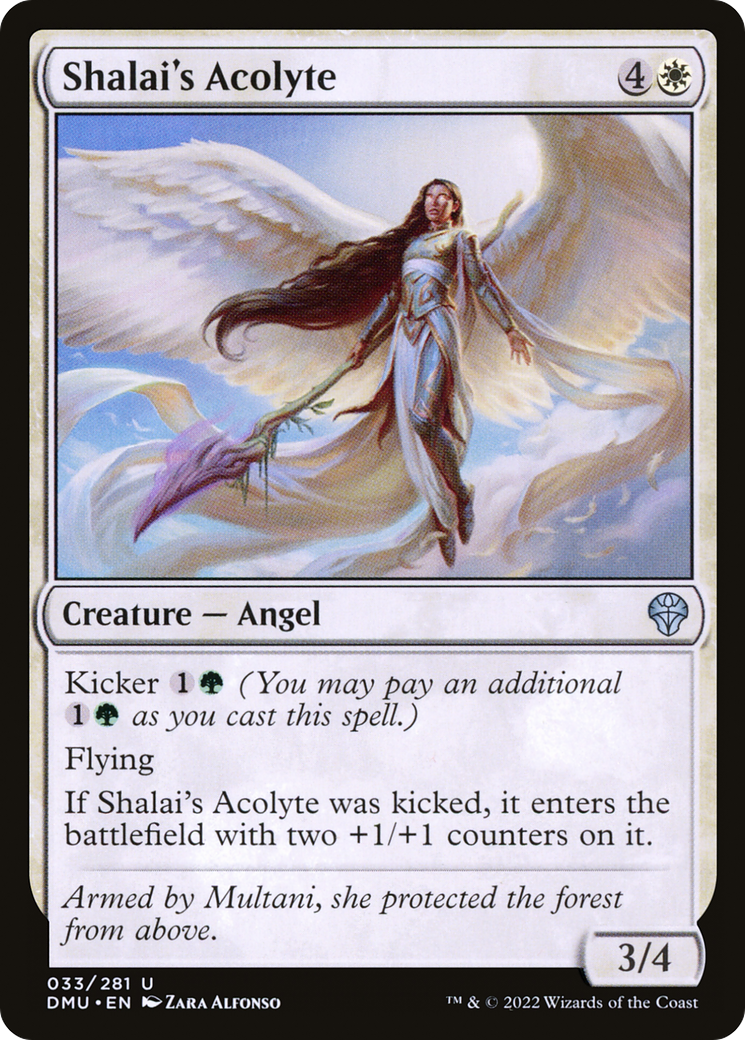 Shalai's Acolyte - Uncommon Creature — Angel card from Dominaria United