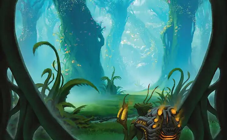 Evendo, Waking Haven