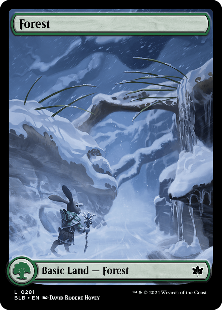 Forest - Common Basic Land — Forest card from Bloomburrow