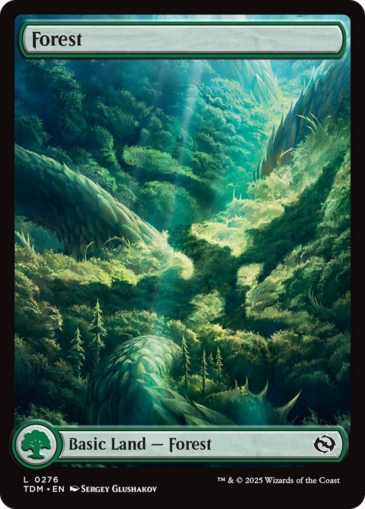 Forest - Common Basic Land — Forest card from Tarkir: Dragonstorm