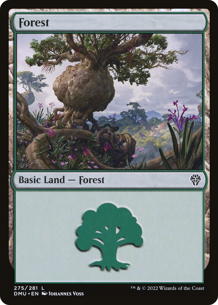 Forest - Common Basic Land — Forest card from Dominaria United