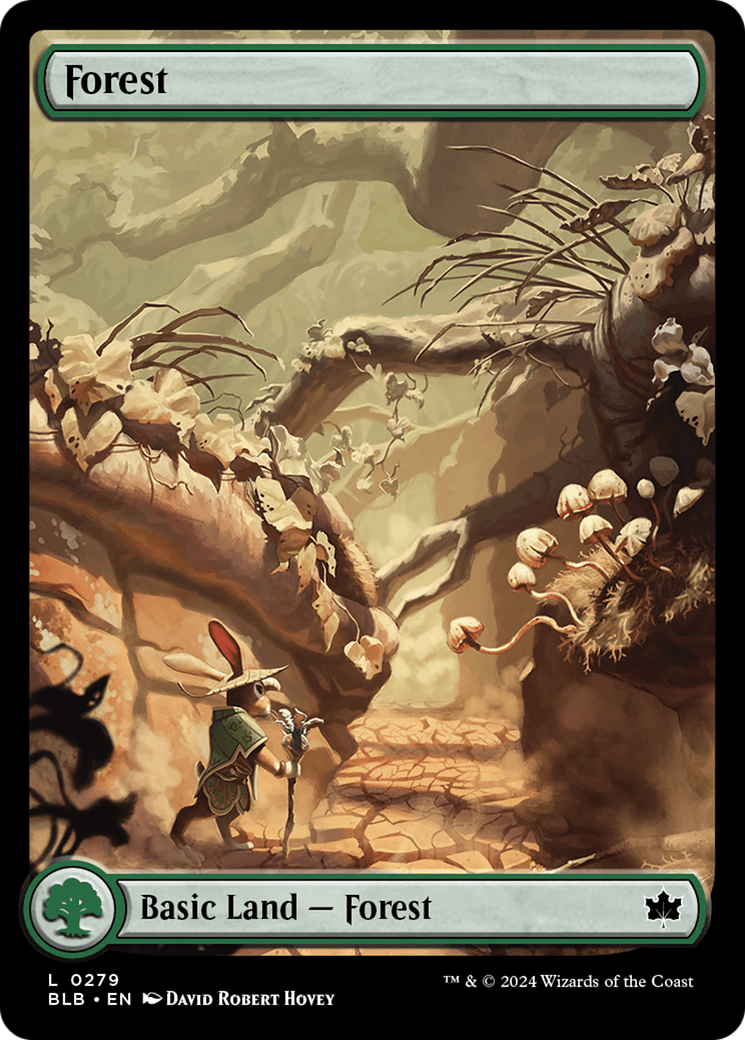Forest - Common Basic Land — Forest card from Bloomburrow