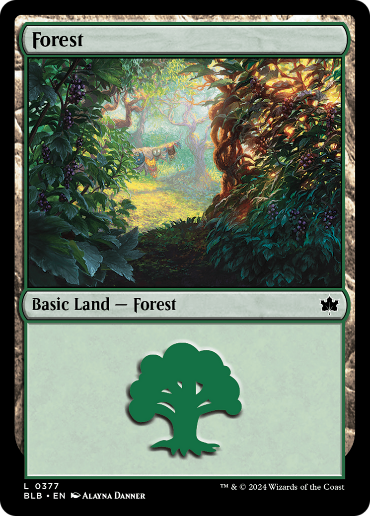Forest - Common Basic Land — Forest card from Bloomburrow
