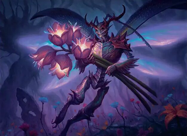 Featured image for article: Standard Cards at their lowest price