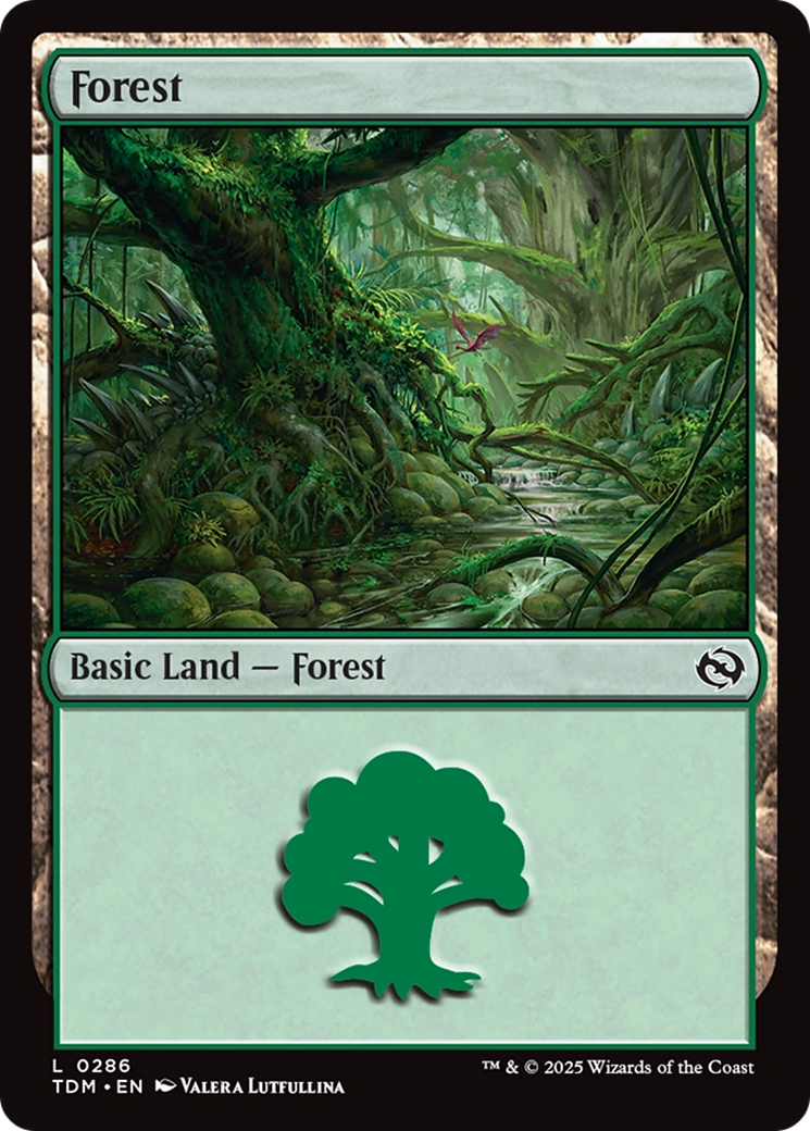 Forest - Common Basic Land — Forest card from Tarkir: Dragonstorm