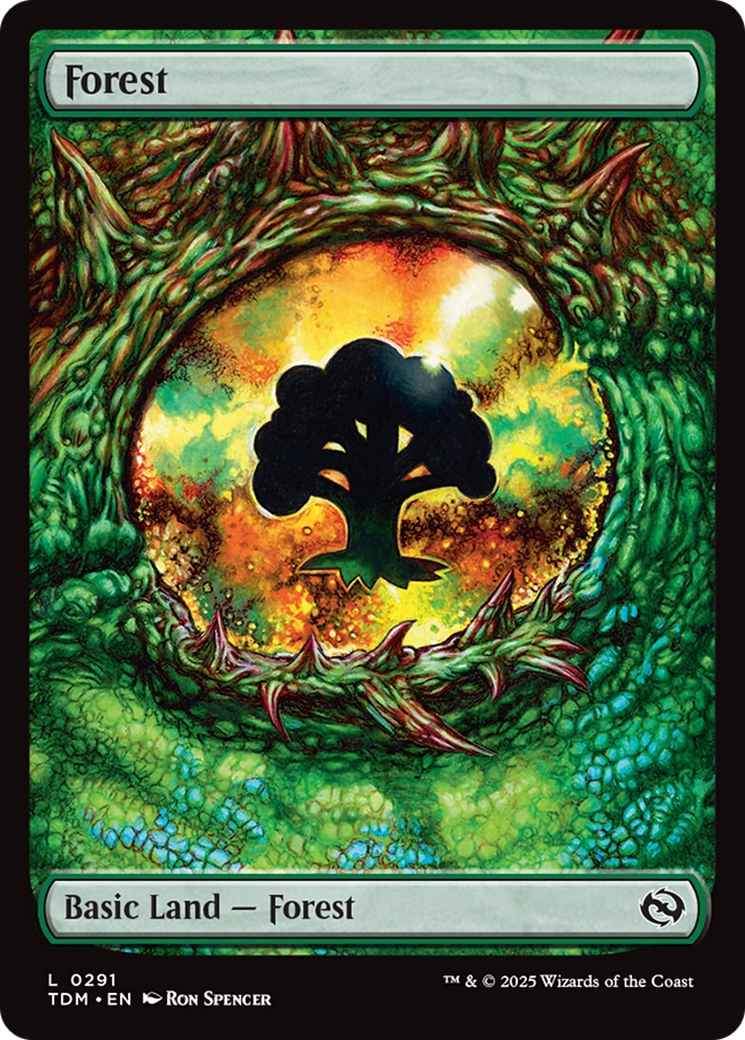 Forest - Common Basic Land — Forest card from Tarkir: Dragonstorm