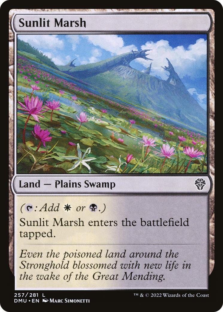 Sunlit Marsh - Common Land — Plains Swamp card from Dominaria United