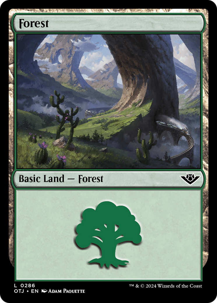 Forest - Common Basic Land — Forest card from Outlaws of Thunder Junction