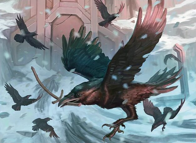 Ravenhill Flock