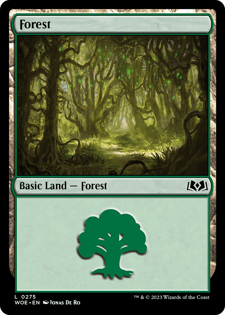 Forest - Common Basic Land — Forest card from Wilds of Eldraine