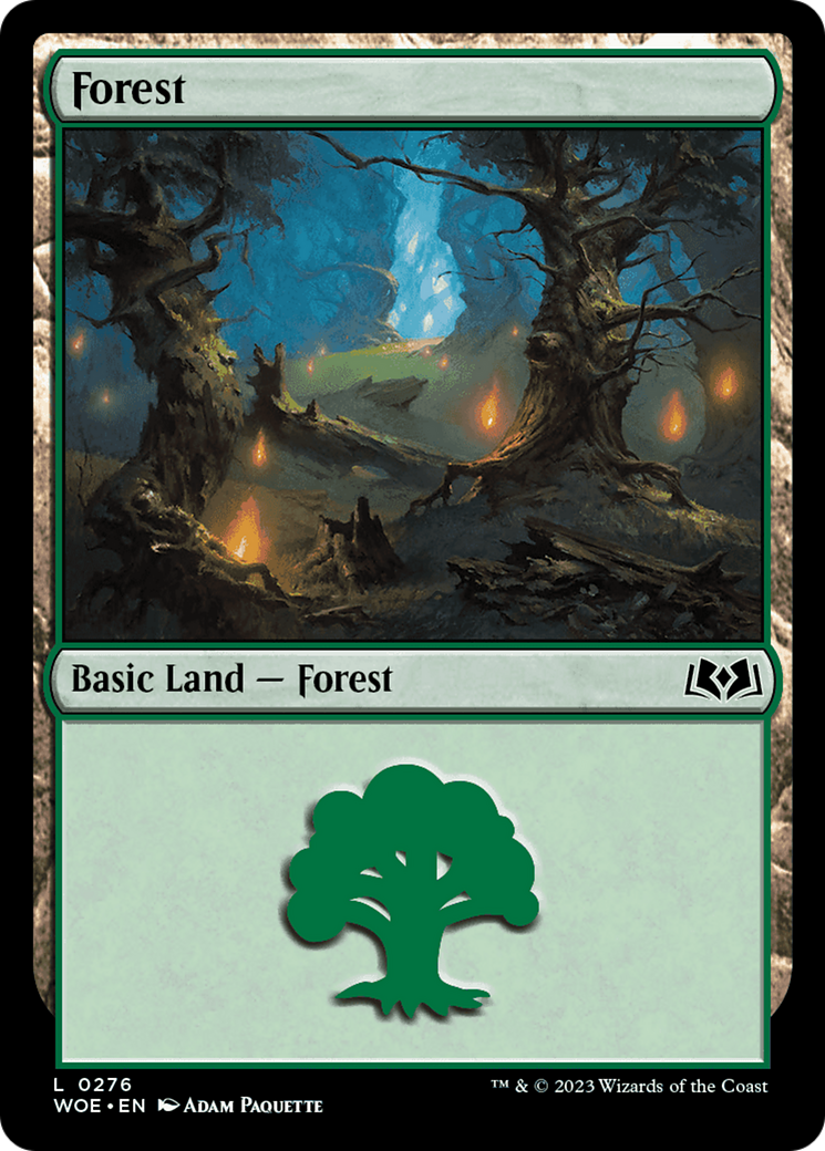 Forest - Common Basic Land — Forest card from Wilds of Eldraine
